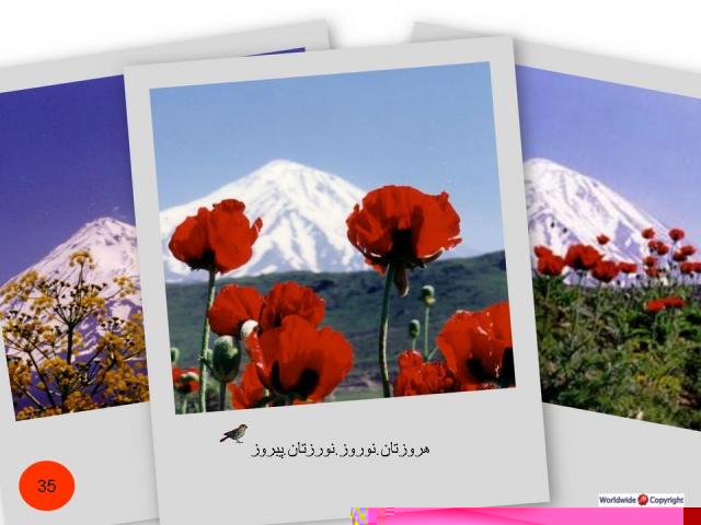 Postcard (33).JPG