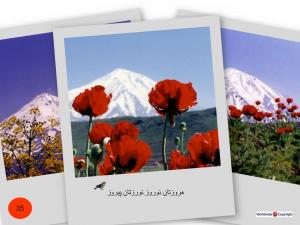 Postcard (33).JPG