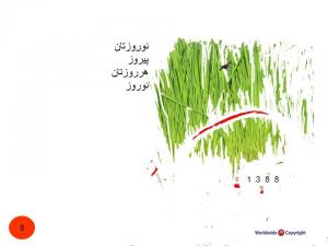 Postcard (39).JPG
