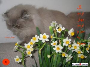 Postcard (30).JPG