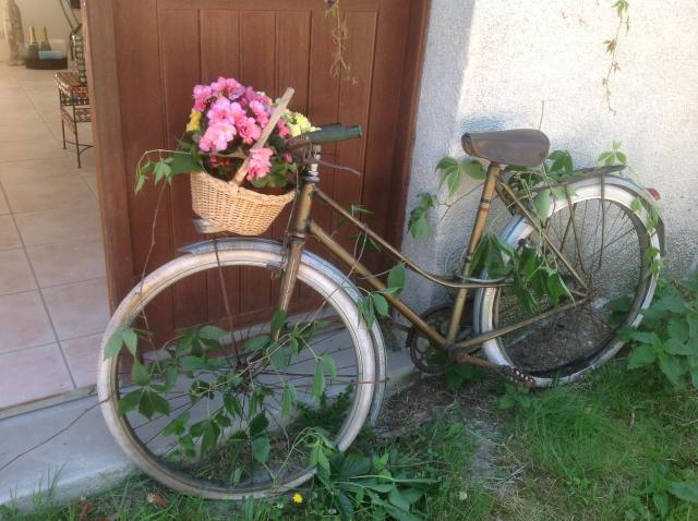 photo 54.JPG
