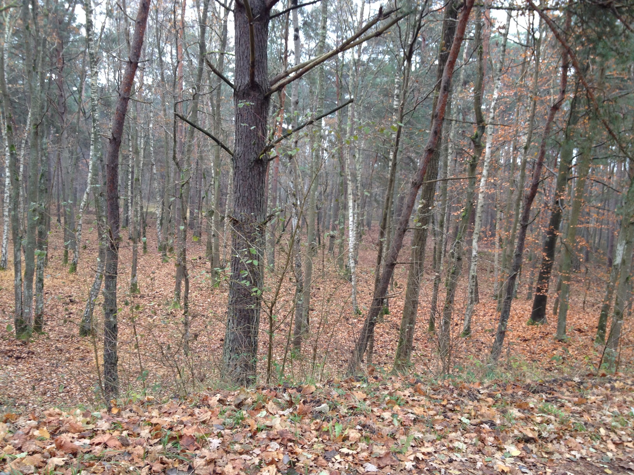 image001.jpg