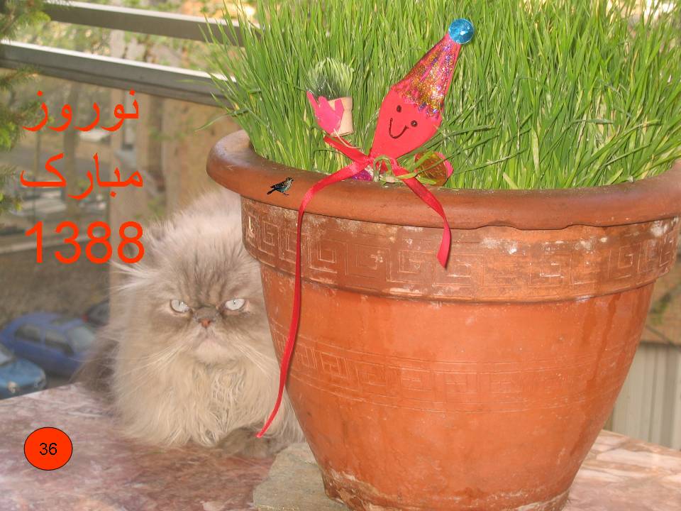 Postcard (21).JPG