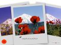Postcard (33).JPG