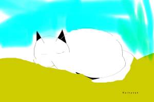 Cats are our friends.jpg