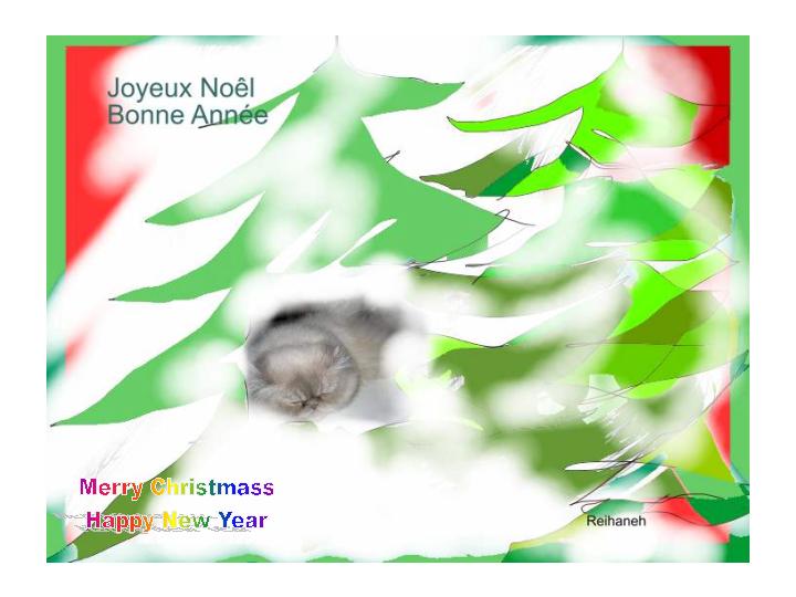 christmas 13 .jpg